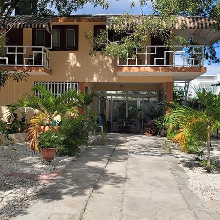 Casita De Las Flores San Jose de Ocoa Eksteriør billede